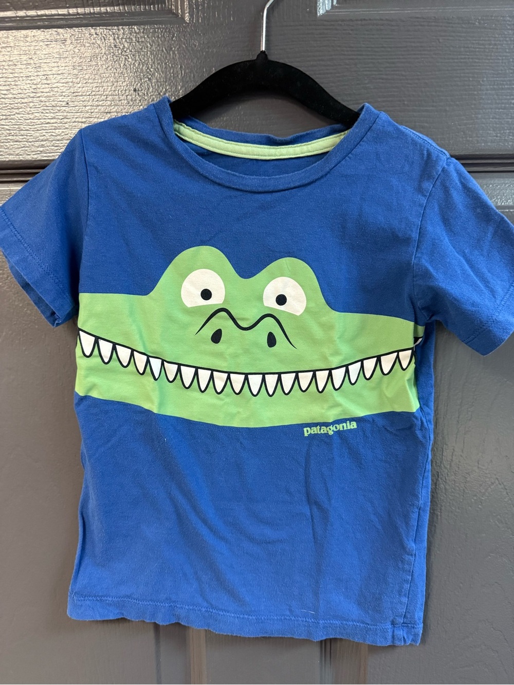 Patagonia Blue Tee with Green Crocodile Graphic